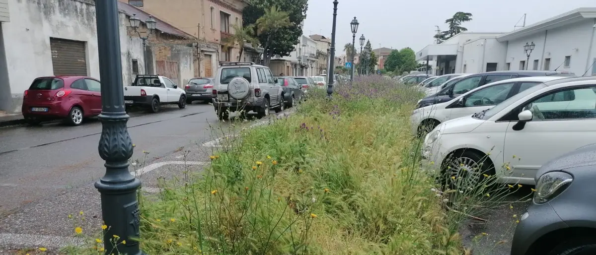 Gioia Tauro, stazione ferroviaria in preda al degrado e all'incuria