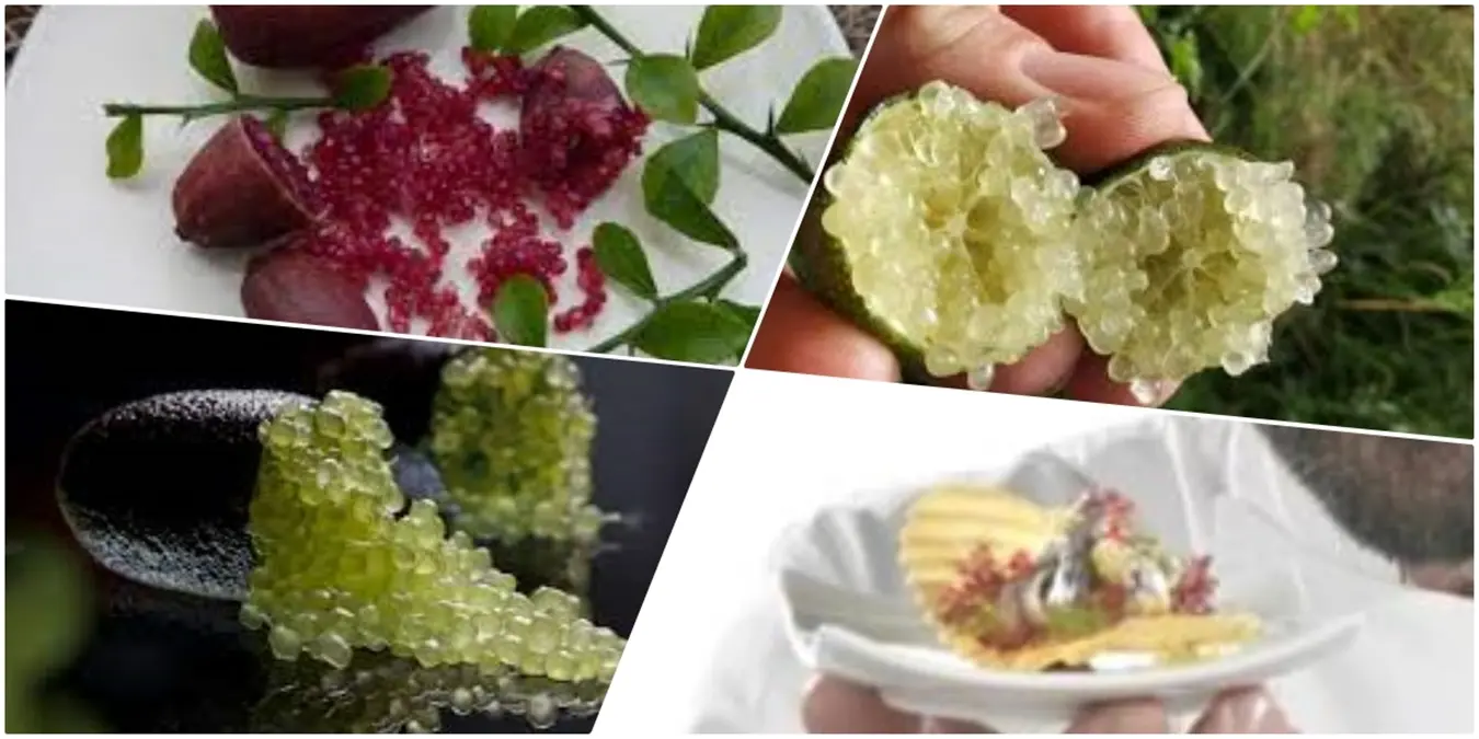 DE GUSTIBUS | Finger Lime, esplosione gustativa dal carattere deciso e raffinato
