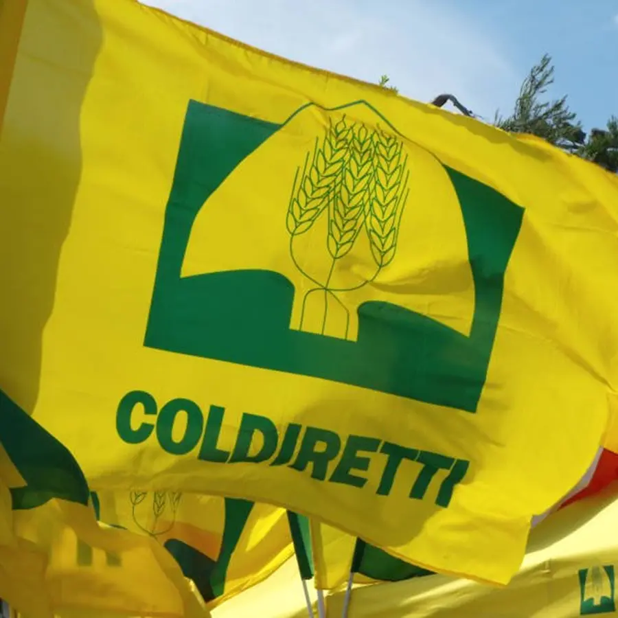 Calabria e il settore agroalimentare, Coldiretti: «Insistere sulla trattativa, il cibo è il primo motore di crescita»