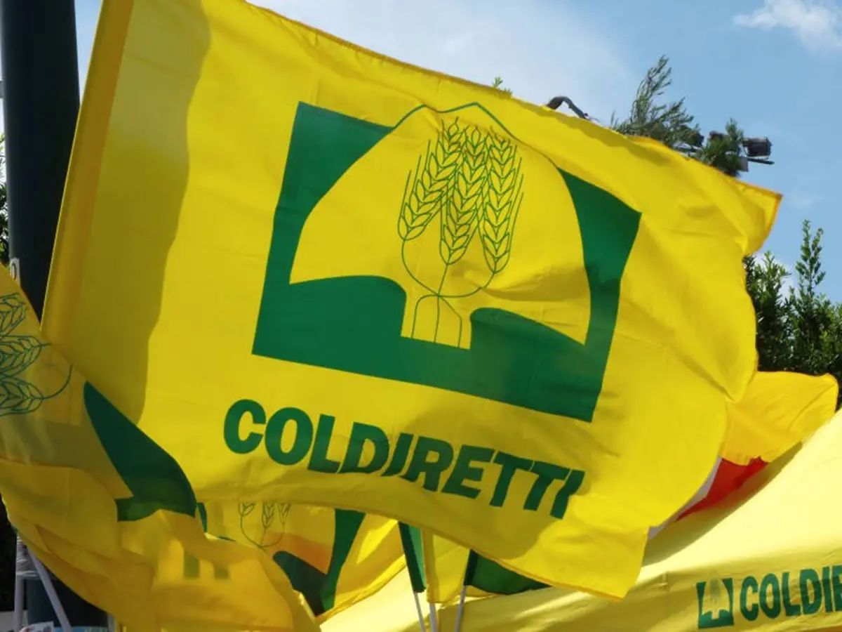 Ristori agli agricoltori colpiti dalla fauna selvatica, la Città Metropolitana di Reggio Calabria a confronto con Coldiretti