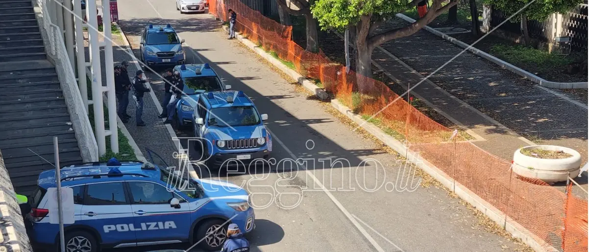 Sgombero Torre Nervi a Reggio, Brunetti: «Occupazione senza titolo»
