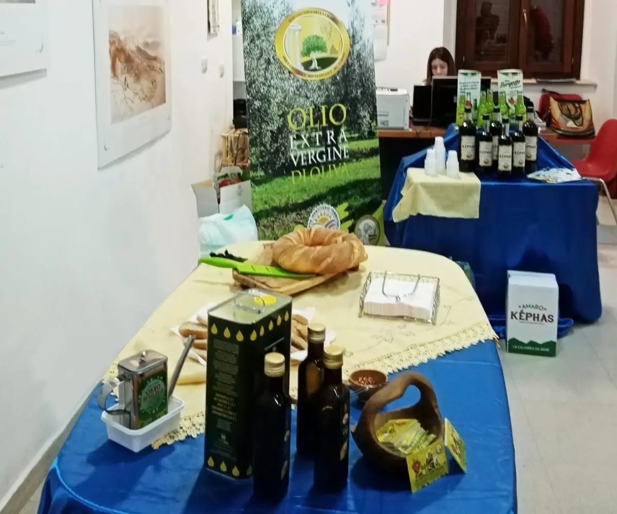 Lazzaro, all'Antiquarium degustazione d'eccellenza per l’Istituto Italiano dei Castelli di Bari