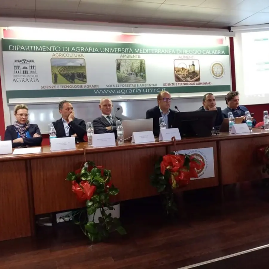 Reggio, ad Agraria filiera dell'olio e agroalimentare al centro del convegno per sviluppo e innovazione