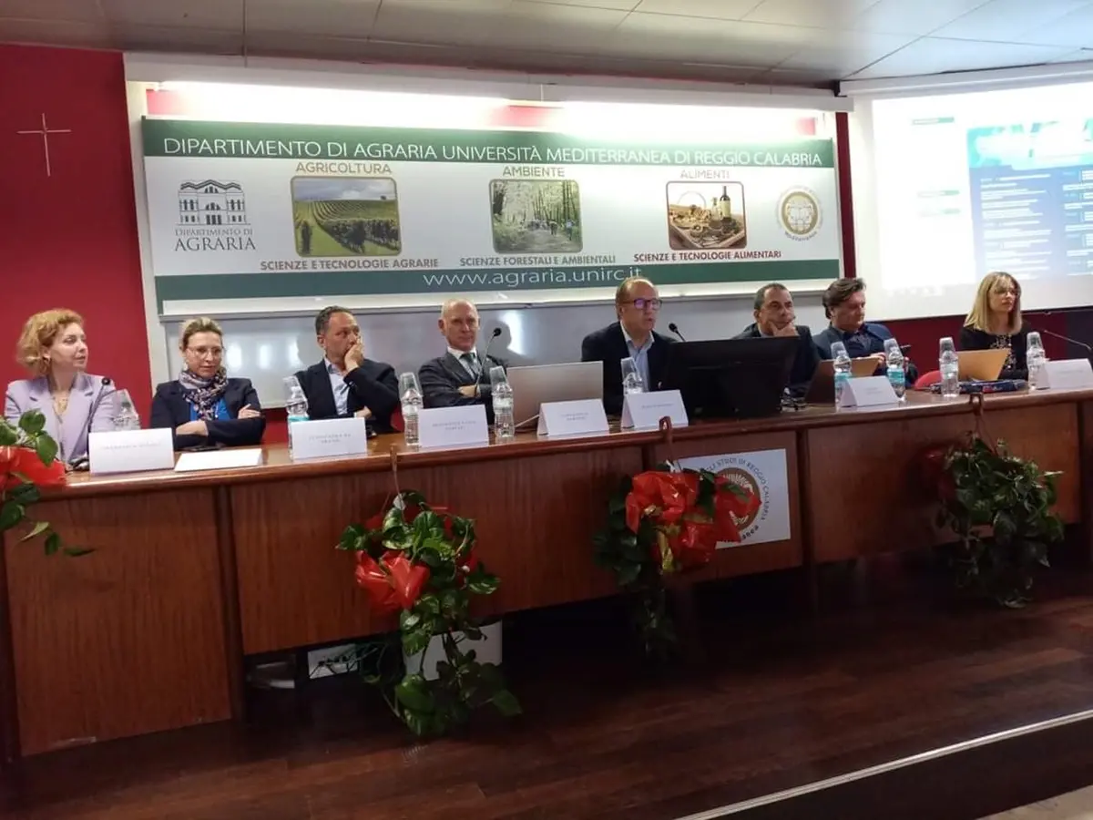 Reggio, ad Agraria filiera dell'olio e agroalimentare al centro del convegno per sviluppo e innovazione