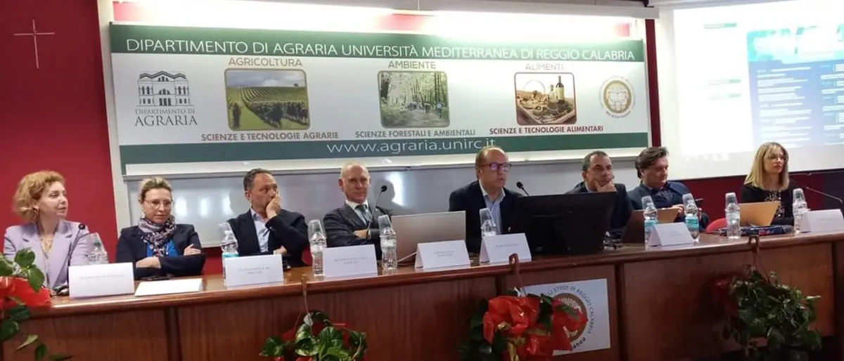 Reggio, ad Agraria filiera dell'olio e agroalimentare al centro del convegno per sviluppo e innovazione