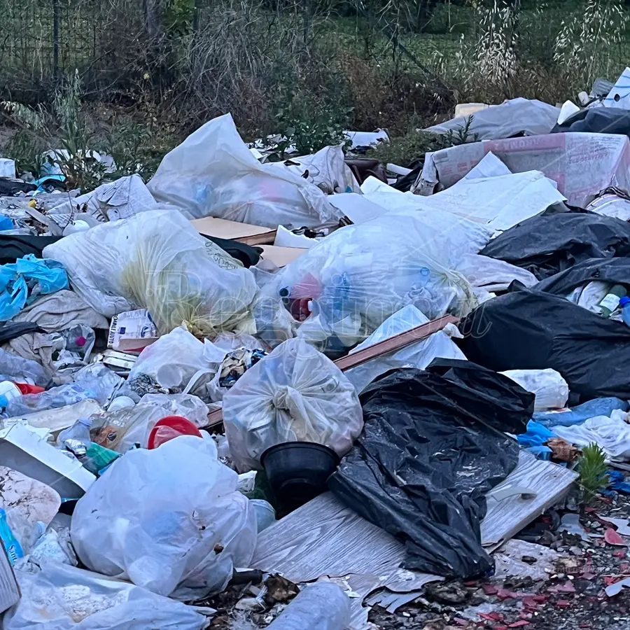 Reggio, Castorina: «Urge bonifica per discarica di Mortara»