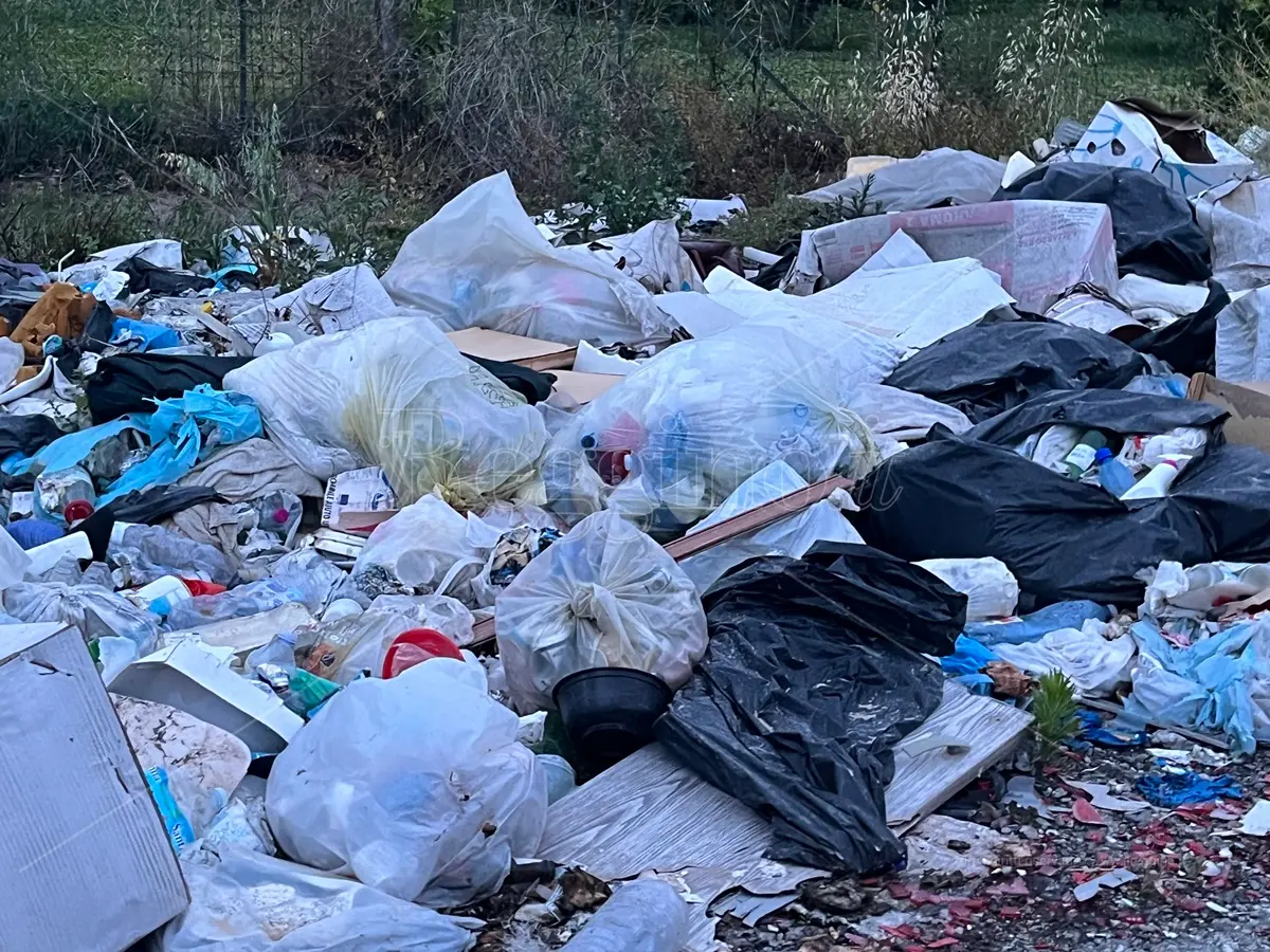 Reggio, Castorina: «Urge bonifica per discarica di Mortara»