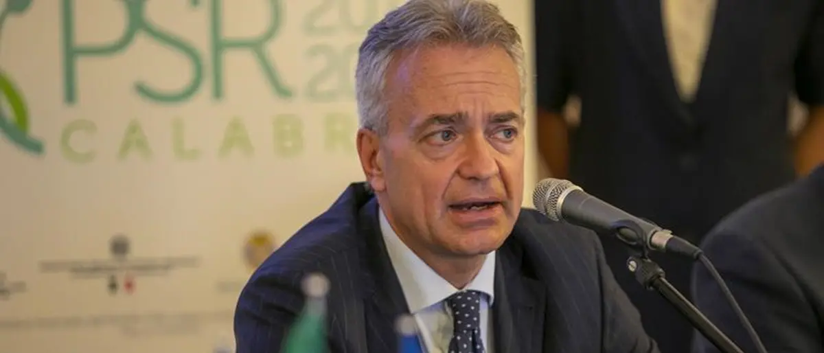 Emergenza cinghiali, adottate le linee guida per il controllo e la sorveglianza