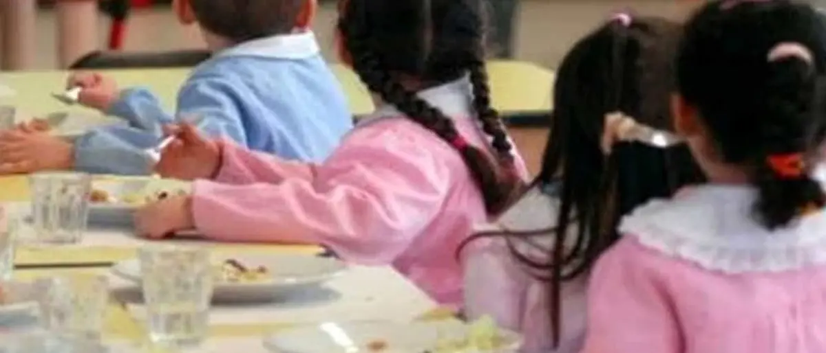 Mensa scolastica a Reggio, il gruppo Pd: «Da opposizione solo becere strumentalizzazioni»