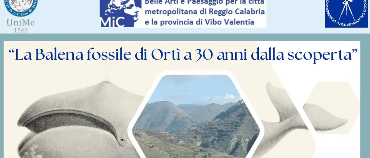 Reggio,\"La Balena fossile di Ortì a 30 anni dalla scoperta\". Gli studi e le ricerche presentati in conferenza
