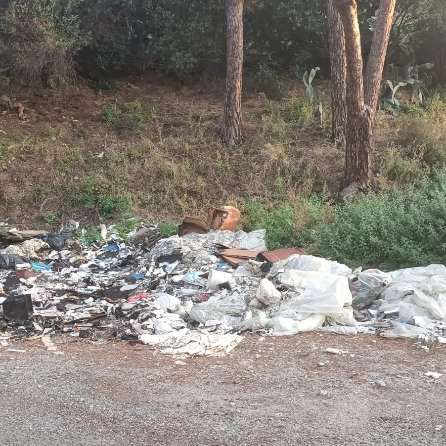 Reggio, la collina di Pentimele sommersa dai rifiuti