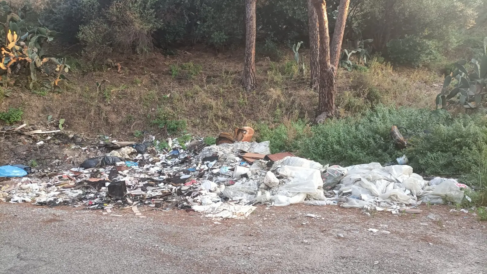 Reggio, la collina di Pentimele sommersa dai rifiuti