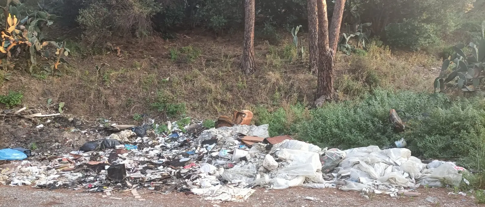 Reggio, la collina di Pentimele sommersa dai rifiuti