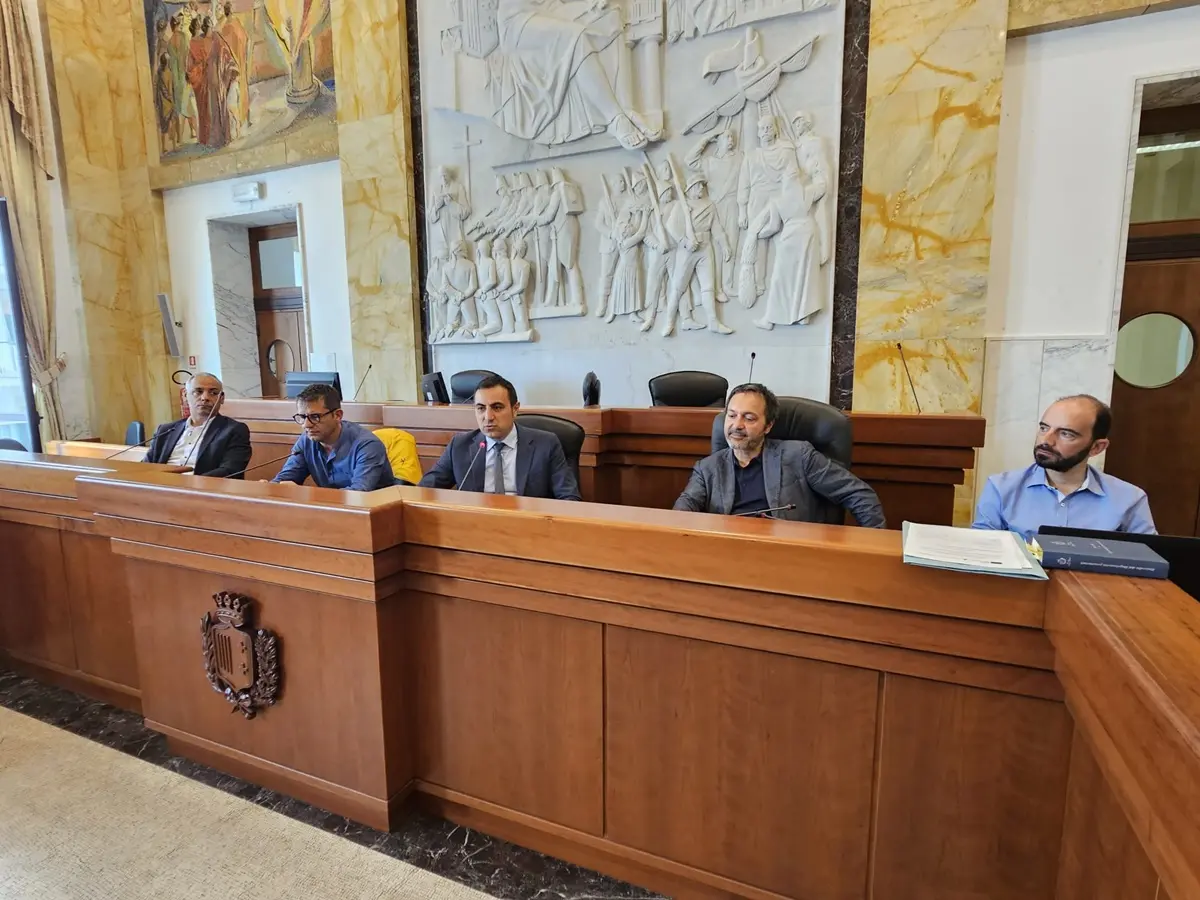 Reggio, la Metrocity avvia il secondo step del bando riforestazione. Prevista la piantumazione di 200mila alberi