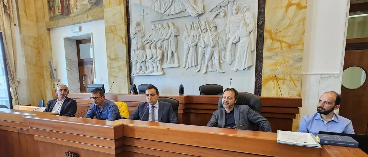 Reggio, la Metrocity avvia il secondo step del bando riforestazione. Prevista la piantumazione di 200mila alberi