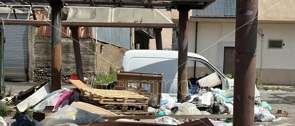 Reggio, anche nel rione Marconi la raccolta del Comune non basta per eliminare le discariche – FOTOGALLERY