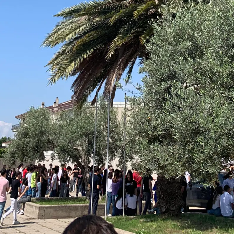 Locri, al liceo Zaleuco la seconda prova generale di evacuazione sul rischio sismico