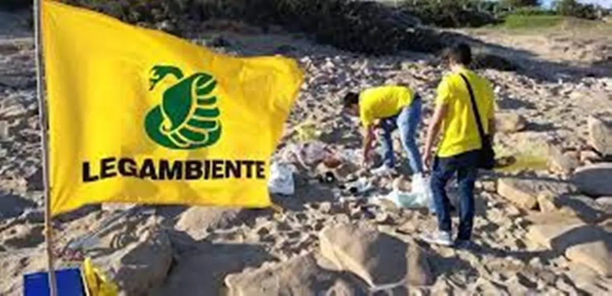 Calabria, pulizia selvaggia delle spiagge e specie protette a rischio: la denuncia di Legambiente