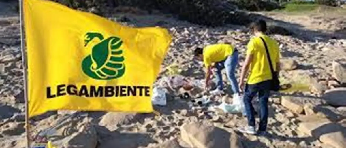 Calabria, pulizia selvaggia delle spiagge e specie protette a rischio: la denuncia di Legambiente