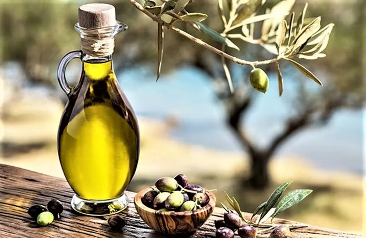 Mediterranea, masterclass sugli olii extravergine di oliva prodotti in Calabria