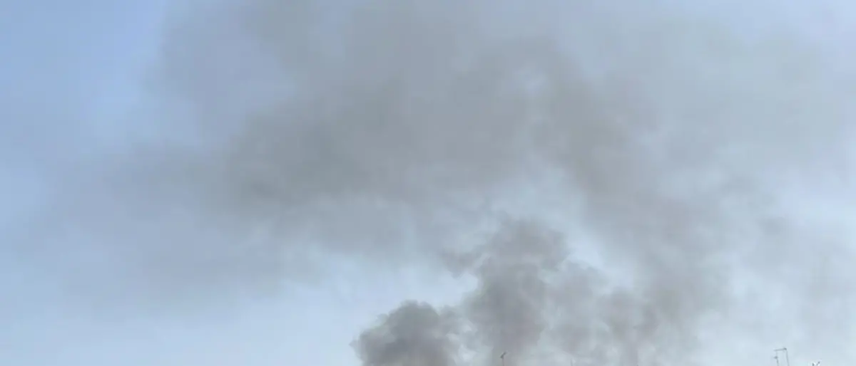 Reggio, così come l'estate iniziano gli incendi. A fuoco sterpaglie a Vito