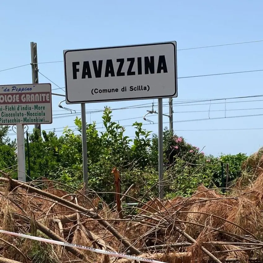 Maltempo a Scilla, l'unica strada di accesso a Favazzina non è stata ancora liberata dall'albero crollato
