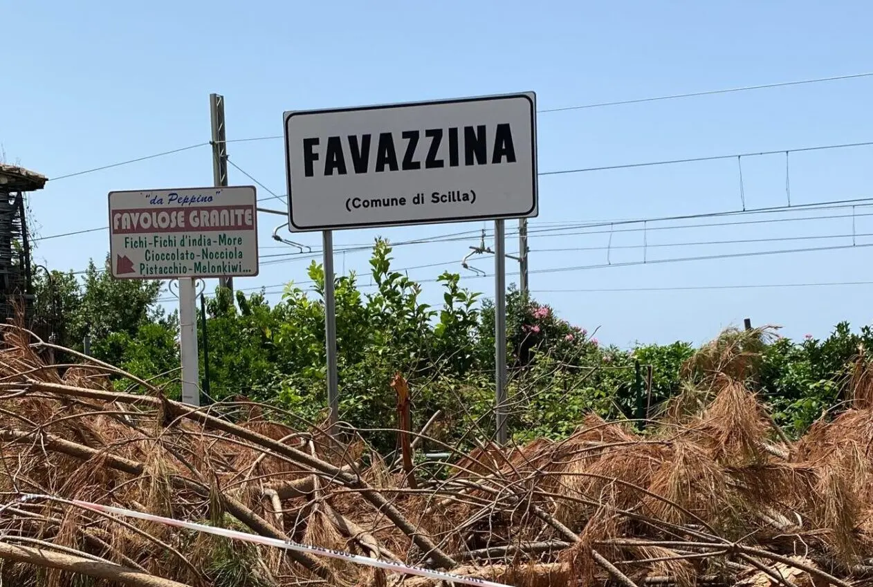 Maltempo a Scilla, l'unica strada di accesso a Favazzina non è stata ancora liberata dall'albero crollato