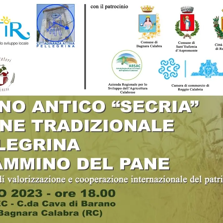 A Bagnara il cammino del pane tradizione di Pellegrina