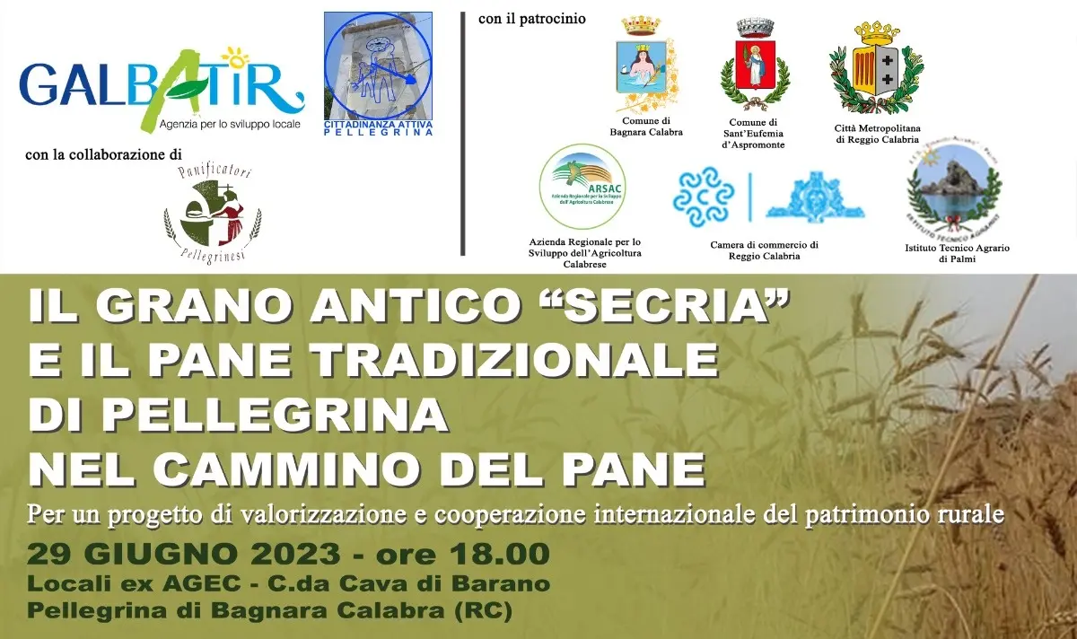 A Bagnara il cammino del pane tradizione di Pellegrina