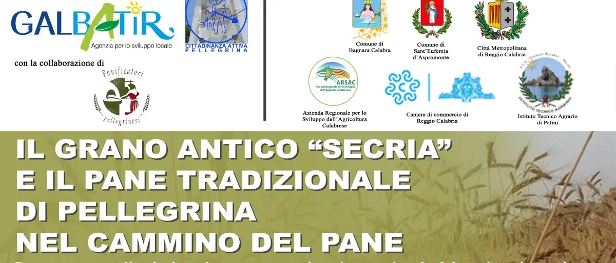 A Bagnara il cammino del pane tradizione di Pellegrina