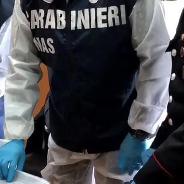 Reggio, stretta del Nas su B&b: disposta la chiusura immediata di due attività ricettive - VIDEO