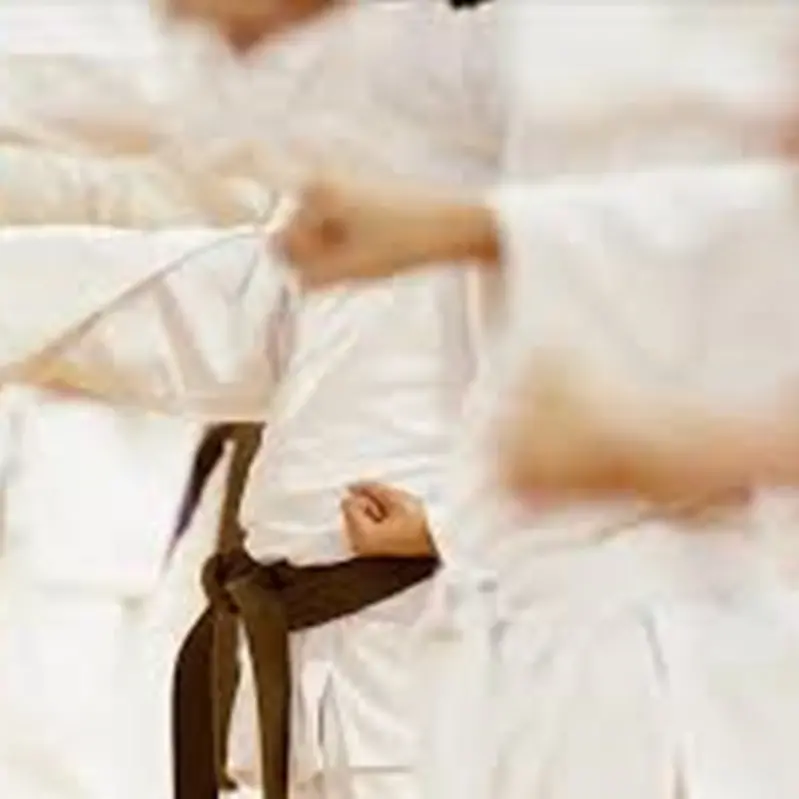 Reggio, presentazione del progetto \"Karate ASI in Calabria\"