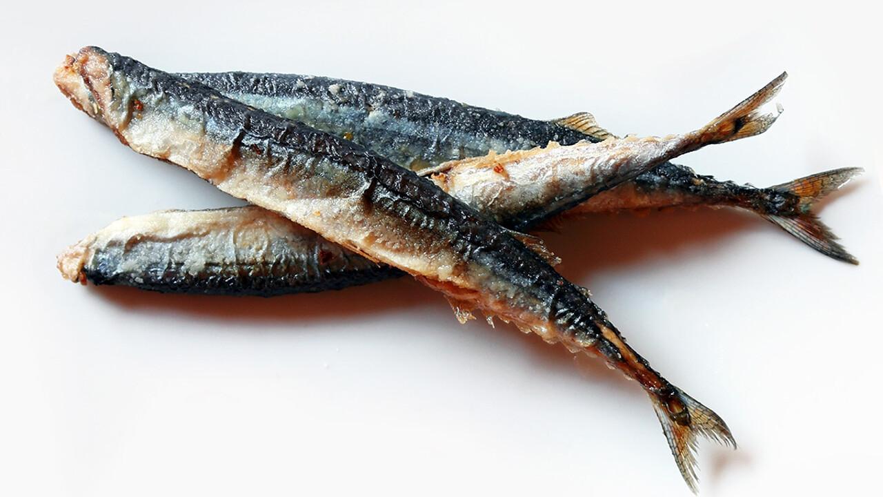 DE GUSTIBUS C erano Una Volta Le Costardelle mito Dello Stretto DE GUSTIBUS C erano Una Volta Le Costardelle mito Dello Stretto