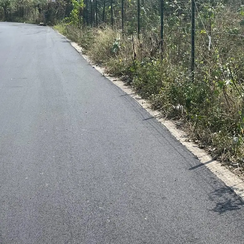 Reggio, Castorina: «Prosegue sinergia tra Enel e Comune , interventi organici sulle strade»