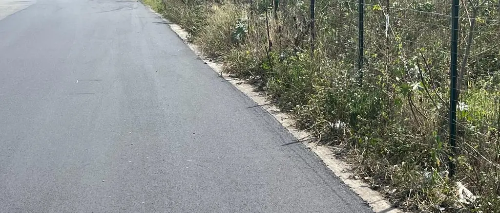 Reggio, Castorina: «Prosegue sinergia tra Enel e Comune , interventi organici sulle strade»