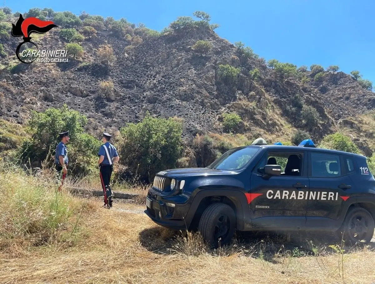 Motta San Giovanni, incendiati 5 ettari di macchia mediterranea: 4 persone denunciate