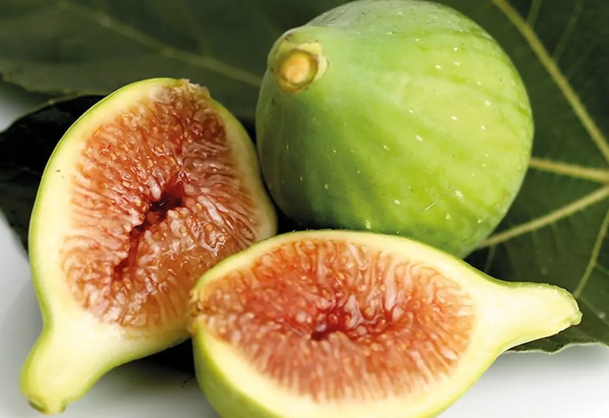 DE GUSTIBUS| Il fico “dottato” di Calabria. Sapore e benessere dal prodotto più antico conosciuto dall’uomo