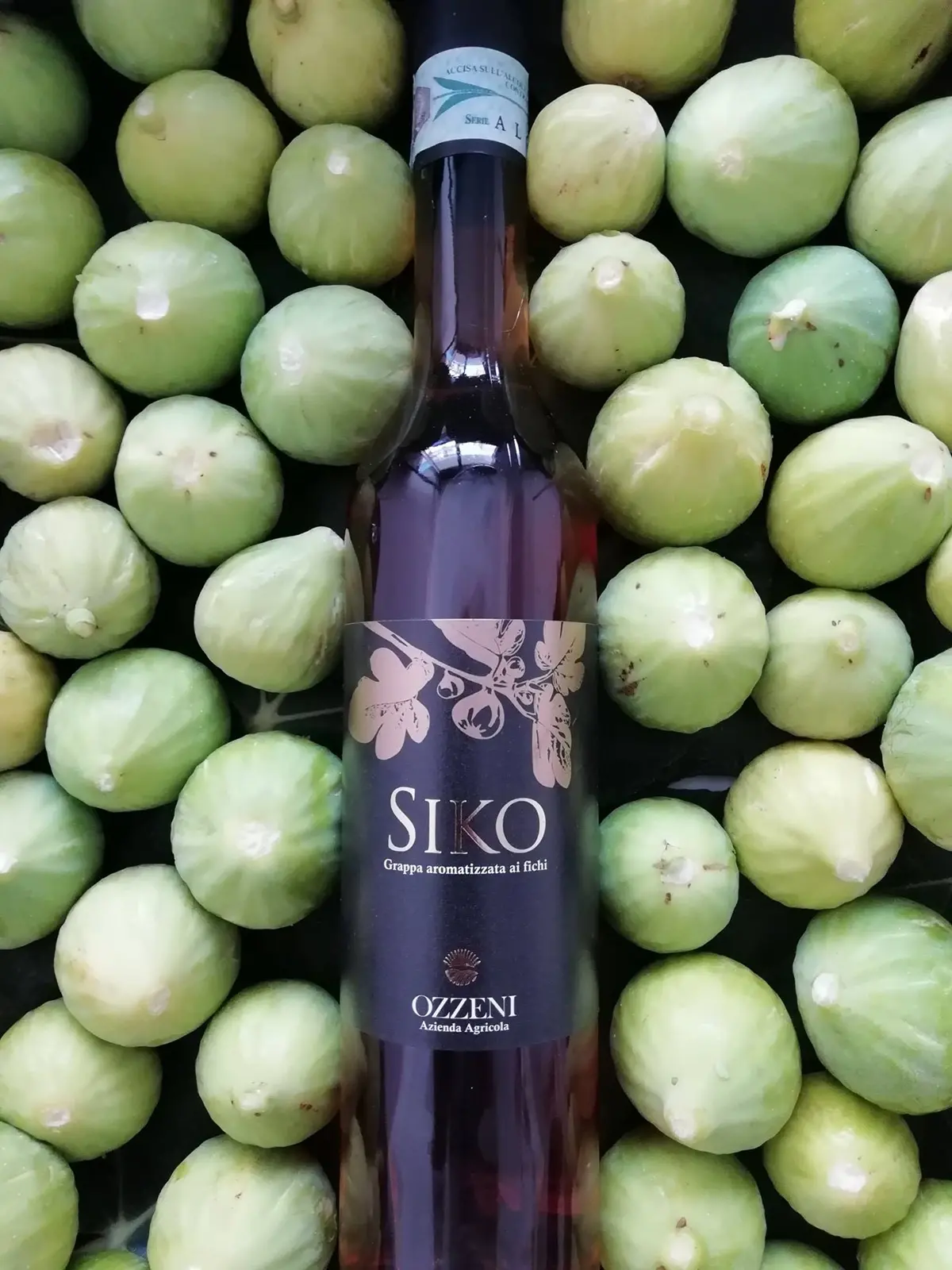 STORIE DI ARTI E MESTIERI| Siko, la grappa al fico nata dall’amore per la propria terra