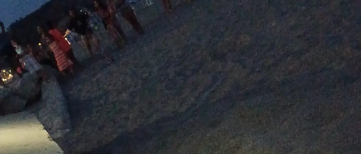 Bova Marina, tra bagnanti incuriositi arriva una Caretta Caretta per deporre le sue uova - VIDEO