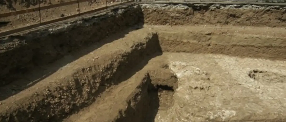 Reggio, scavi di piazza Garibaldi: Amici del Museo propongono una ricerca di archeologia botanica