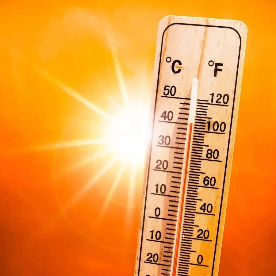 Emergenza caldo, Confagricoltura ha chiesto l’intervento della Regione Calabria