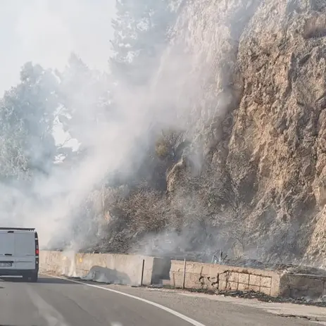 Incendio sulle colline di Capo d'Armi: numerosi piccoli incendi anche a Pellaro