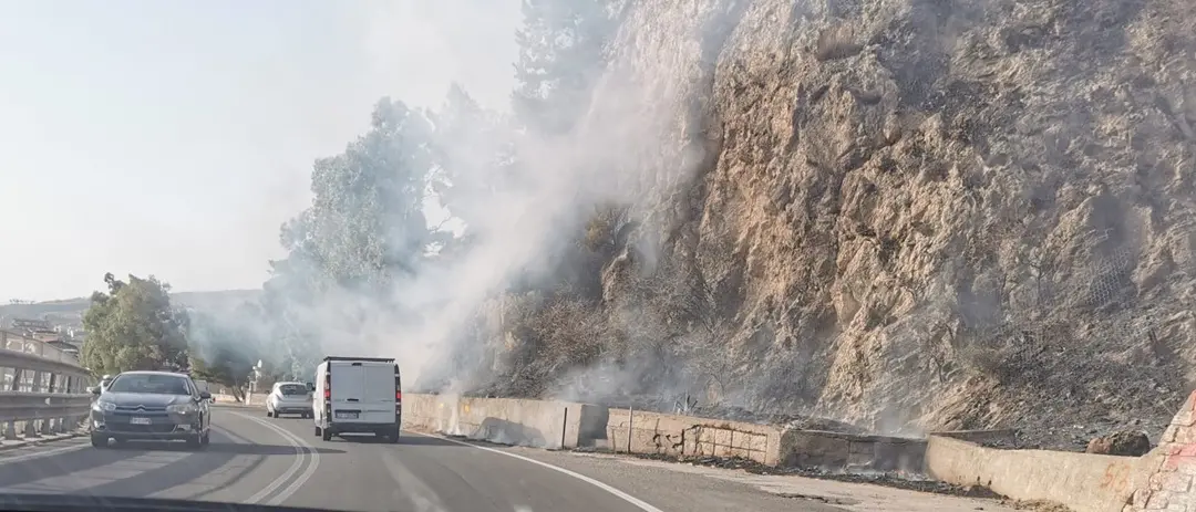 Incendio sulle colline di Capo d'Armi: numerosi piccoli incendi anche a Pellaro