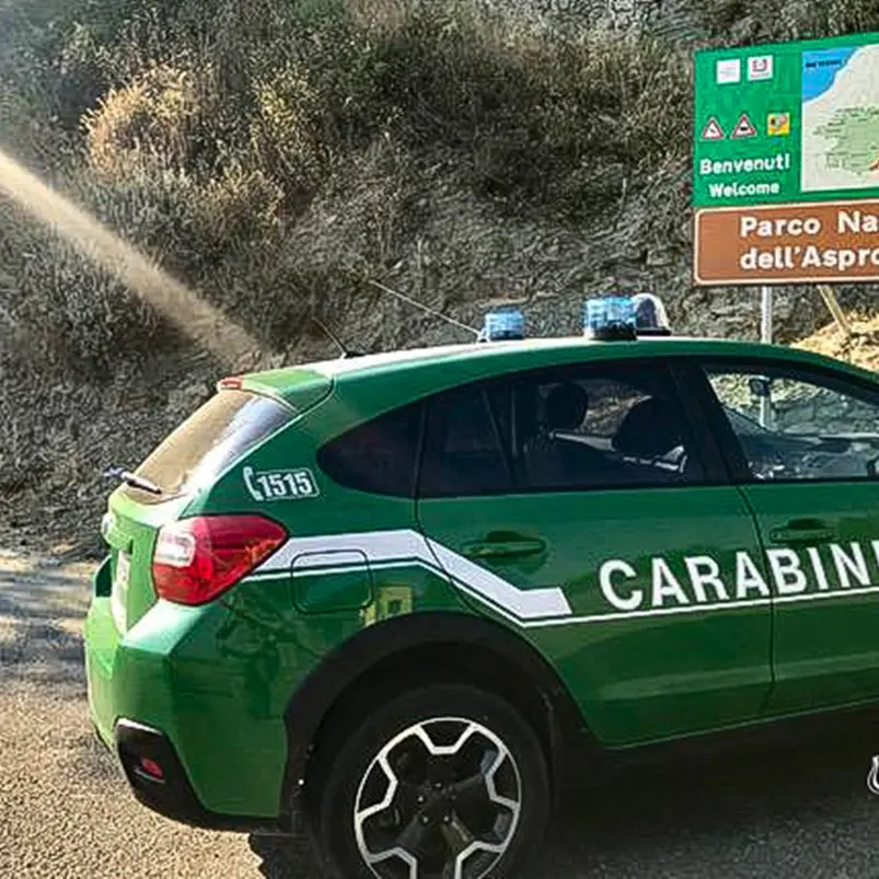 San Luca, cacciavano illegalmente ghiri: denunciati in due