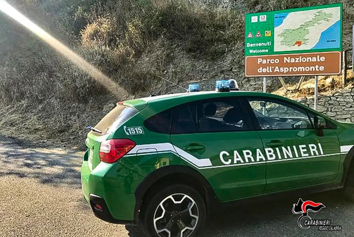 San Luca, cacciavano illegalmente ghiri: denunciati in due