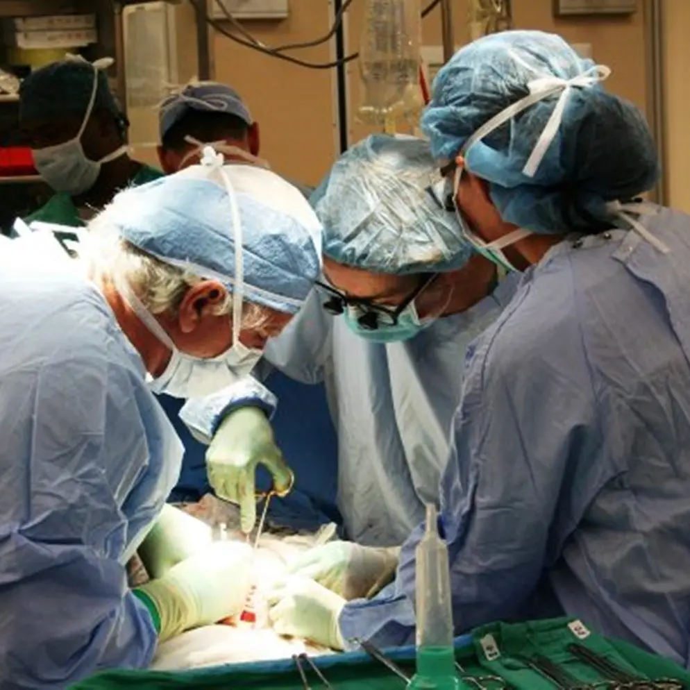 Gom di Reggio, donati gli organi Rosa Laura: la donna morta in un incidente stradale