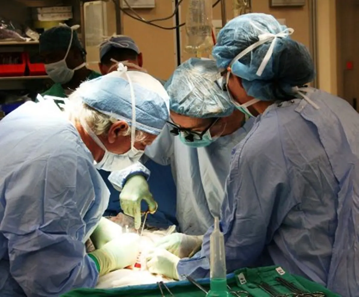 Gom di Reggio, donati gli organi Rosa Laura: la donna morta in un incidente stradale