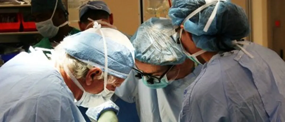 Gom di Reggio, donati gli organi Rosa Laura: la donna morta in un incidente stradale