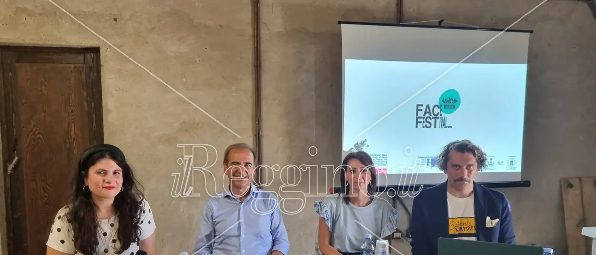 Face festival in Aspromonte, così l'anima esprime la sua arte - VIDEO