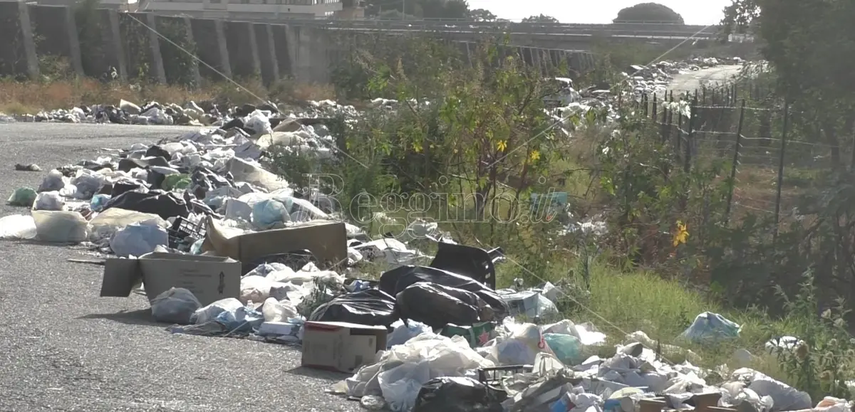 Reggio, a Mortara residenti indignati: «Non vogliamo più vivere tra i rifiuti, le istituzioni intervengano» - FOTOGALLERY e VIDEO